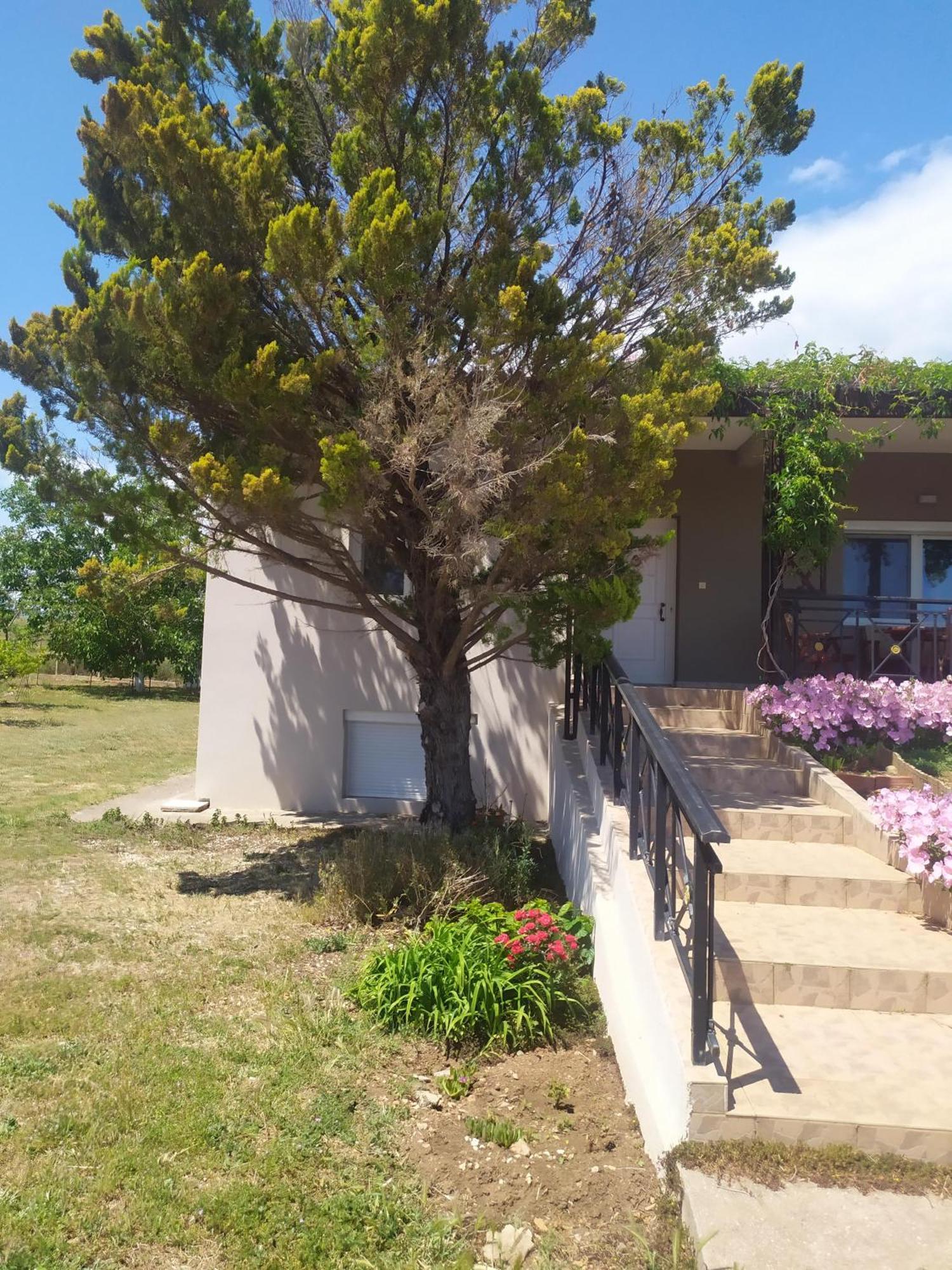 Villa Hill View 4 Alexandroupoli Esterno foto